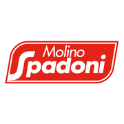 Farine italienne Spadoni PZ2 (levage 4-6h) pour pizza type 00 W200