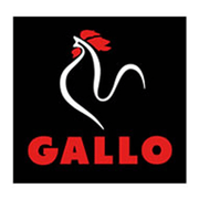 Fideua Noodles Gallo (250 G)