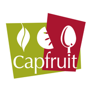 Purée de Mangue Capfruit 1kg - Purées de Fruits, Mangues - Épicerie, vente  achat acheter